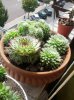 IMG_20120806_154059.jpg