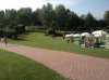 IMG_0782.jpg
