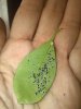 IMG_20190430_102942.jpg