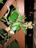 3E087B24-48CC-4369-8DEE-3094AD5621E9.jpeg