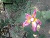 2012-08-15_14.44.06.jpg