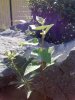 26082012177.jpg