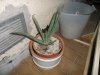 100_2181.JPG