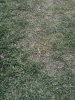 IMG_20190611_200530_1.jpg