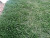 IMG_20190611_200540.jpg