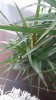 20190707_090409.jpg