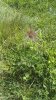 IMG_20190704_101617.jpg
