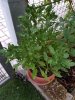 20190712_204746.jpg