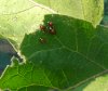 P_20190722_185634_1_resize_59.jpg