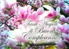 Tanti Auguri di Buon Compleanno Magnolia AUGURI 15X12_1-800x574.jpg