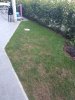 IMG_20190723_174447_768.jpg