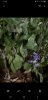 Screenshot_20190730-213320_Gallery.jpg