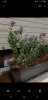 Screenshot_20190730-213334_Gallery.jpg