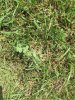 IMG_3295.JPG