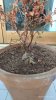 IMG_20190824_165641_resize_44.jpg