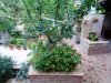 DSC04316.JPG