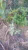 IMG-20190915-WA0000-225x400.jpg