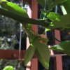 IMG_9899.jpeg
