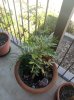 P90924-162018.jpg