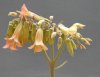 DSCN4079.JPG