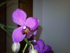 Foto169..jpg