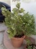 Copia di 120620104&.jpg