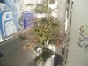 P1010821..jpg