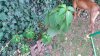 100_2182.jpg