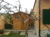limone_marzo.jpg limone_marzo.jpg