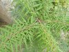 DSCN8000.jpg DSCN8000.jpg