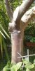 20120922_122651.jpg