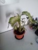20120926_092149.jpg 20120926_092149.jpg