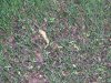 DSCF8763.jpg