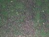 DSCF8765.jpg