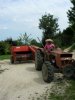 Immagine 278.jpg