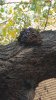 20191208_122147-1195x2124.jpg