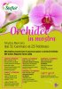 Eventi Mostra delle orchidee.jpg