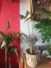 image%3A65646.jpg image%3A65646.jpg
