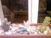 Photo0126.jpg