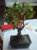 2012-10-03 18.38.39.jpg