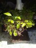 2012-10-05 13.19.19.jpg