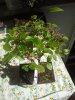 2012-10-05 13.46.39.jpg
