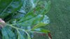 DSCN0331.jpg