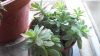 100_3839.jpg