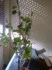 Marcianise-20121012-00335.jpg