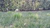 IMG_20200212_153738.jpg