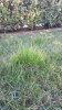 IMG_20200212_153620.jpg
