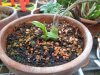 DSC04802.JPG
