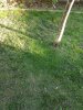 20190530_191324.jpg