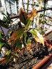IMG_20200312_133822_resize_63.jpg
